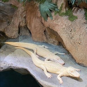 Hello, welcome to my page.